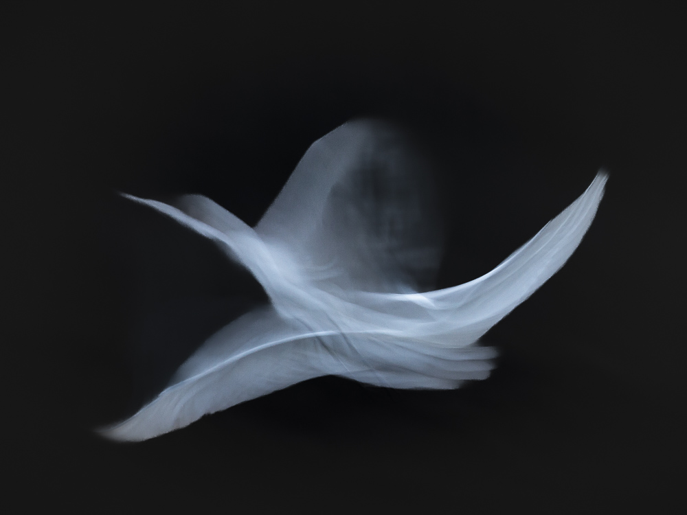 Platz 10 Anton Kienle